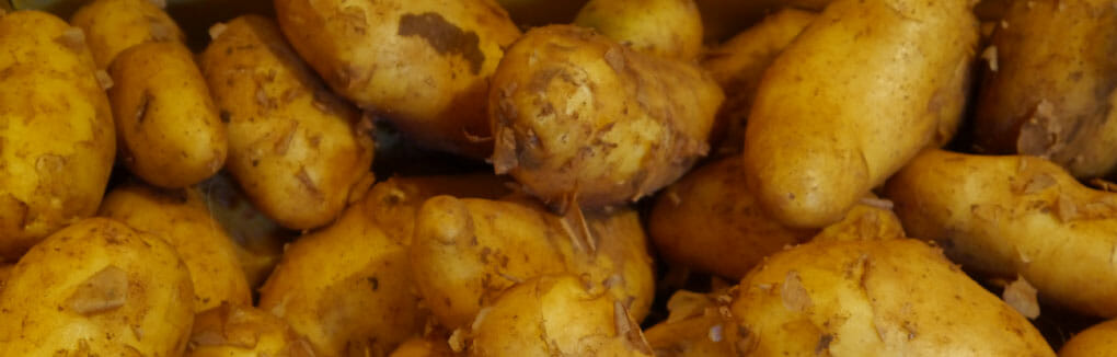 Kartoffeln