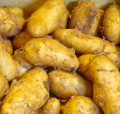 spargel-und-kartoffeln